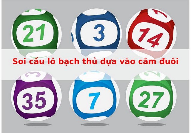 Bắt bạch thủ lô theo đầu câm đuôi câm