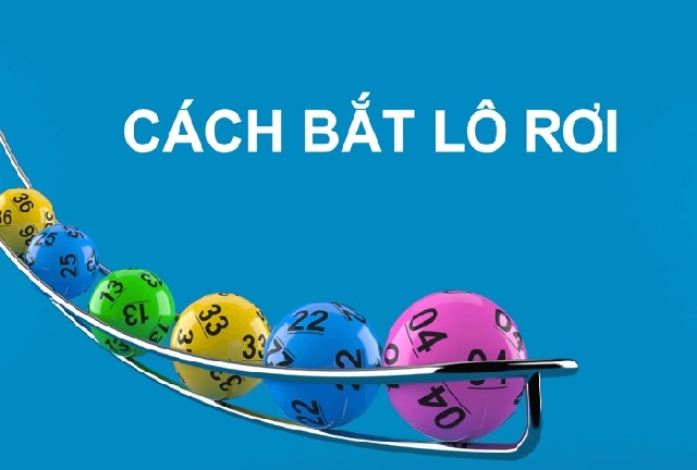 Dự đoán xổ số MB hôm nay chính xác 100 cực nhanh nhất từ lô rơi